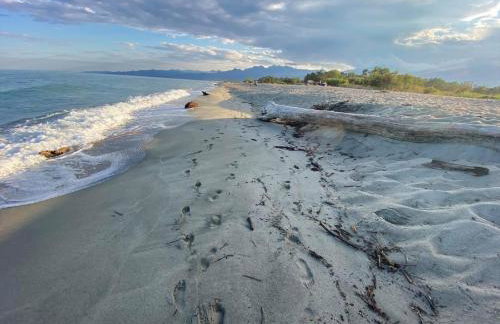 Les pieds dans l eau de Betty Ghisonaccia plage 50 m - Foto 47