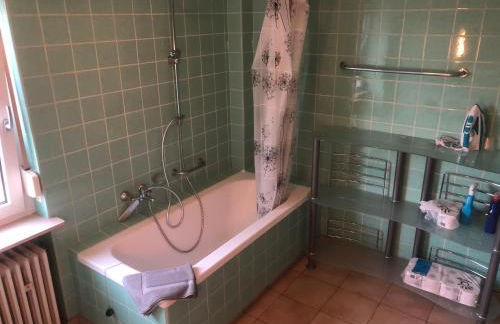 Hauckwald Apartment 3 - Foto 6