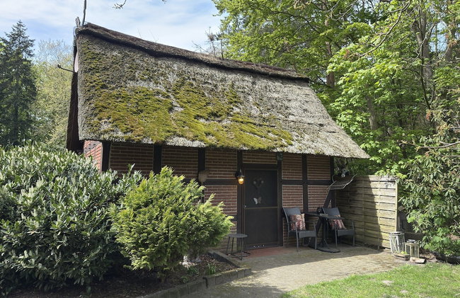Ferienhaus in Kirchdorf mit Reiterhof - Foto 15