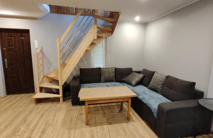 Ranczo Bieszczady duży Domek z Jacuzzi i Sauną - Foto 24