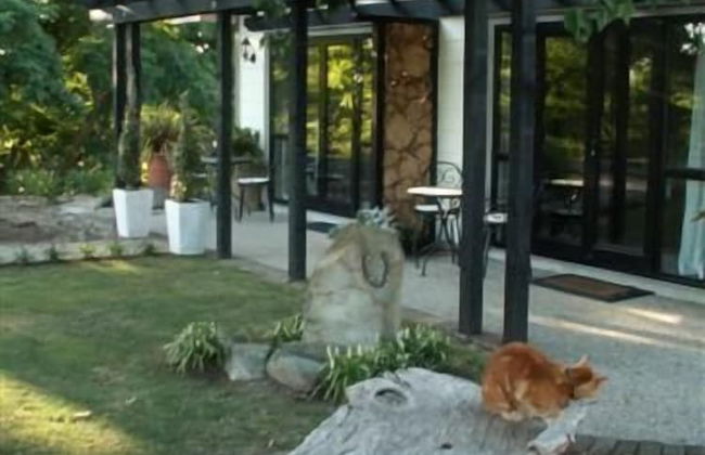 Cambridge Coach House - Foto 31