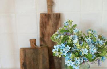 Apartament Kasztanowy - Foto 5