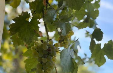 Meublés de Charme Romantique en Touraine - Foto 4