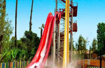 APARTBEACH y SANCHO ABARCA PRIVILEGE - Foto 57