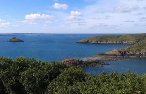 Au gite du bois d'amour - Foto 33