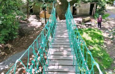 Le nid dans le chêne - Photo 43