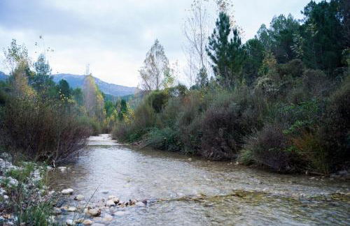 CASAS RURALES Vado del Rio Tus - Foto 24