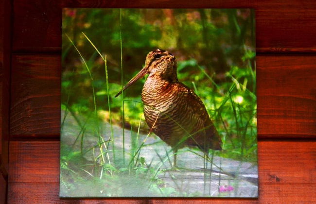 Country House Bosco d'Olmi - Foto 26