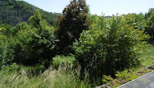 Ferienwohnung Schäfer - Photo 5