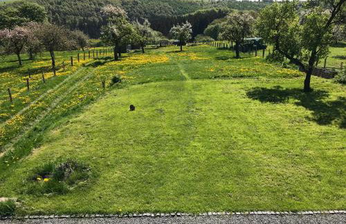 Ferienhaus am Nationalpark - Foto 8