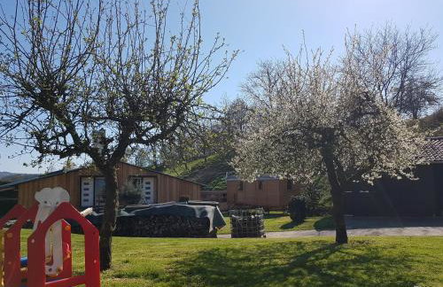 Ferienwohnung/Monteurwohnung im schönen Odenwald - Photo 29