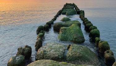 Sunbella Sarbinowo - Photo 3