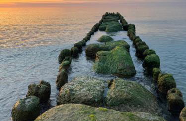 Sunbella Sarbinowo - Photo 3