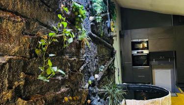 Jungle Gite - Foto 4