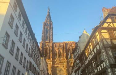 Charmant appartement 3 pièces proche hyper centre Strasbourg - Foto 24