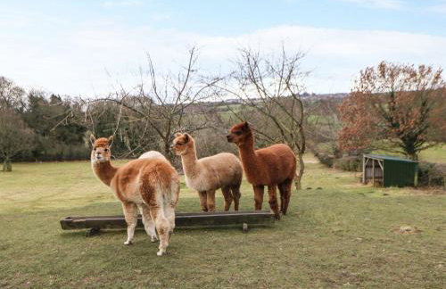 High Church Hill - Photo 58