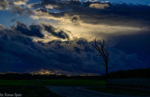 Kaszubska Odskocznia Ostoja Bukowo - Foto 56