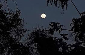 Casa Luna próximo ao Animália Park - Foto 43