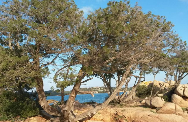 Holiday Home in Cannigione With Garden - Foto 15