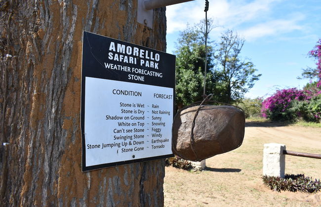 Amorello Safari Park - Photo 57