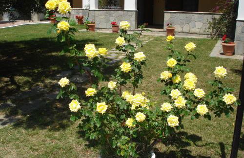 Asteris Village - Foto 26