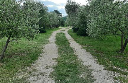 Holiday House Pulina - Foto 23