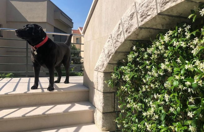 Palma Apartments - Foto 71