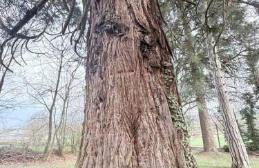 Villa HARMONIE - Foto 19