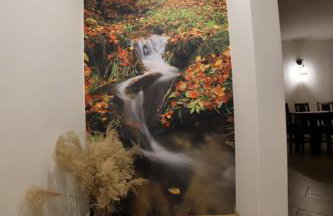 Sowi Gościniec Wellness & Breakfast - Foto 17