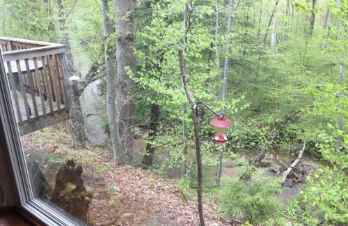 Peaceful Forested 5 Bdrm Near Lake sleeps up to 16 - Photo 24