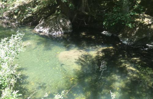 Sweet Creek - Photo 32