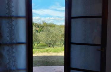 I Girasoli di Lari - Bilocale La Margherita - Foto 14