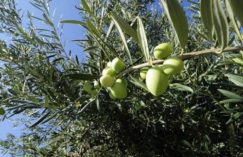 Residence Casa Torretta - Foto 28