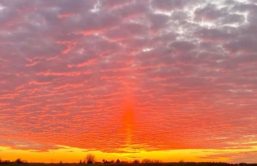 Ferienwohnungen Dargatz - Foto 15