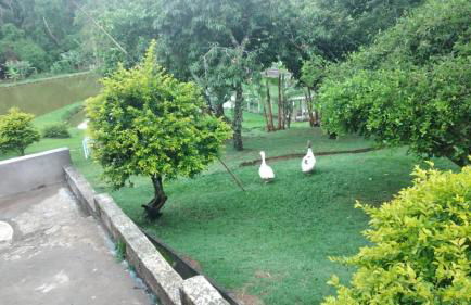 Chácara Saluti - Foto 35