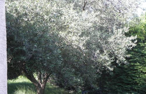 La Parenthèse - Foto 11