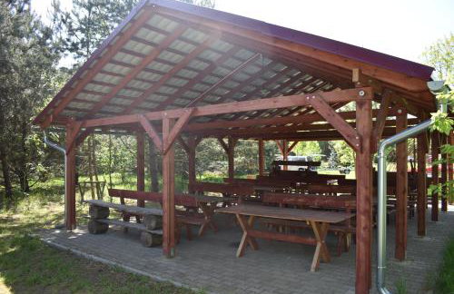 Newland Wójtowicz - Foto 59