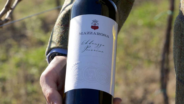 Bouteille de vin de Mazzarosa