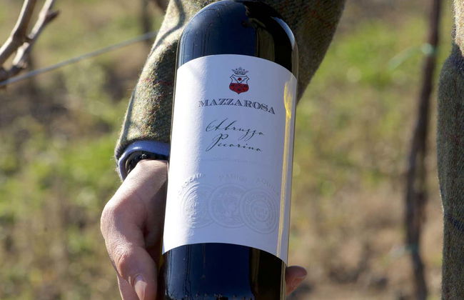 Visita à Cantina Mazzarosa - Foto 5