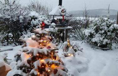 Haus Harzer Bergblick all inklusiv Sauna Whirlpool - Foto 63