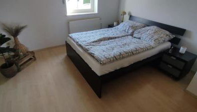 Erholung in den Weingut-Ferienwohnungen für bis 10 Personen - Foto 4