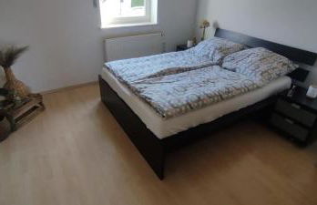 Erholung in den Weingut-Ferienwohnungen für bis 10 Personen - Foto 4