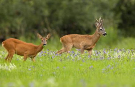 Monasteriohome Apto3 - Photo 17