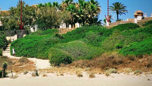 Loma del Rey 56 - casa primera linea de mar - Foto 5