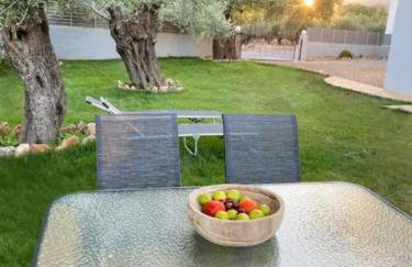 Olives Villa - Photo 33