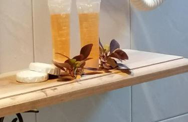 Ξενώνας Το Πατρικό - Foto 33