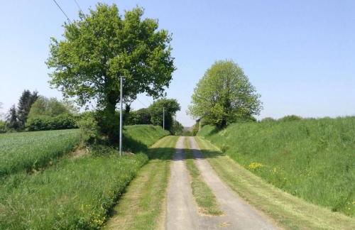 The Grange - Foto 17