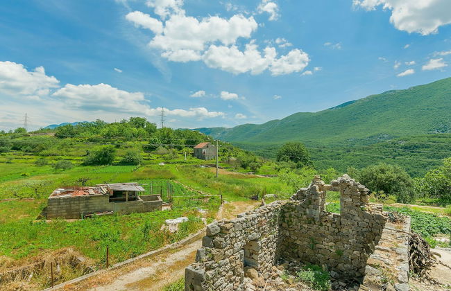 House Cattleya - Photo 11