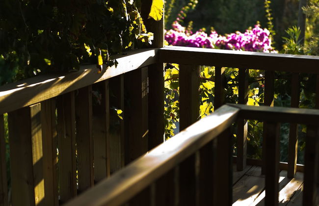 Seki Cottages - Foto 14