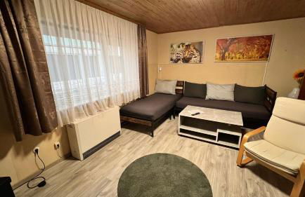 FeWo, Monteurwohnung Pauline - Foto 3